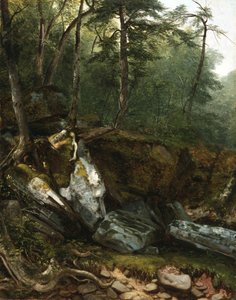 Étude de la nature : Rochers et arbres dans les Catskills, N.Y., 1856